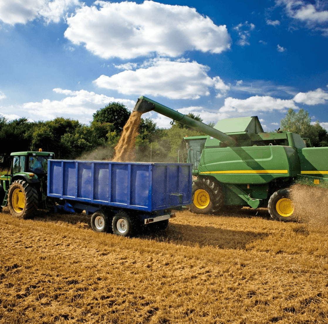 Tarım ve Hayvancılık