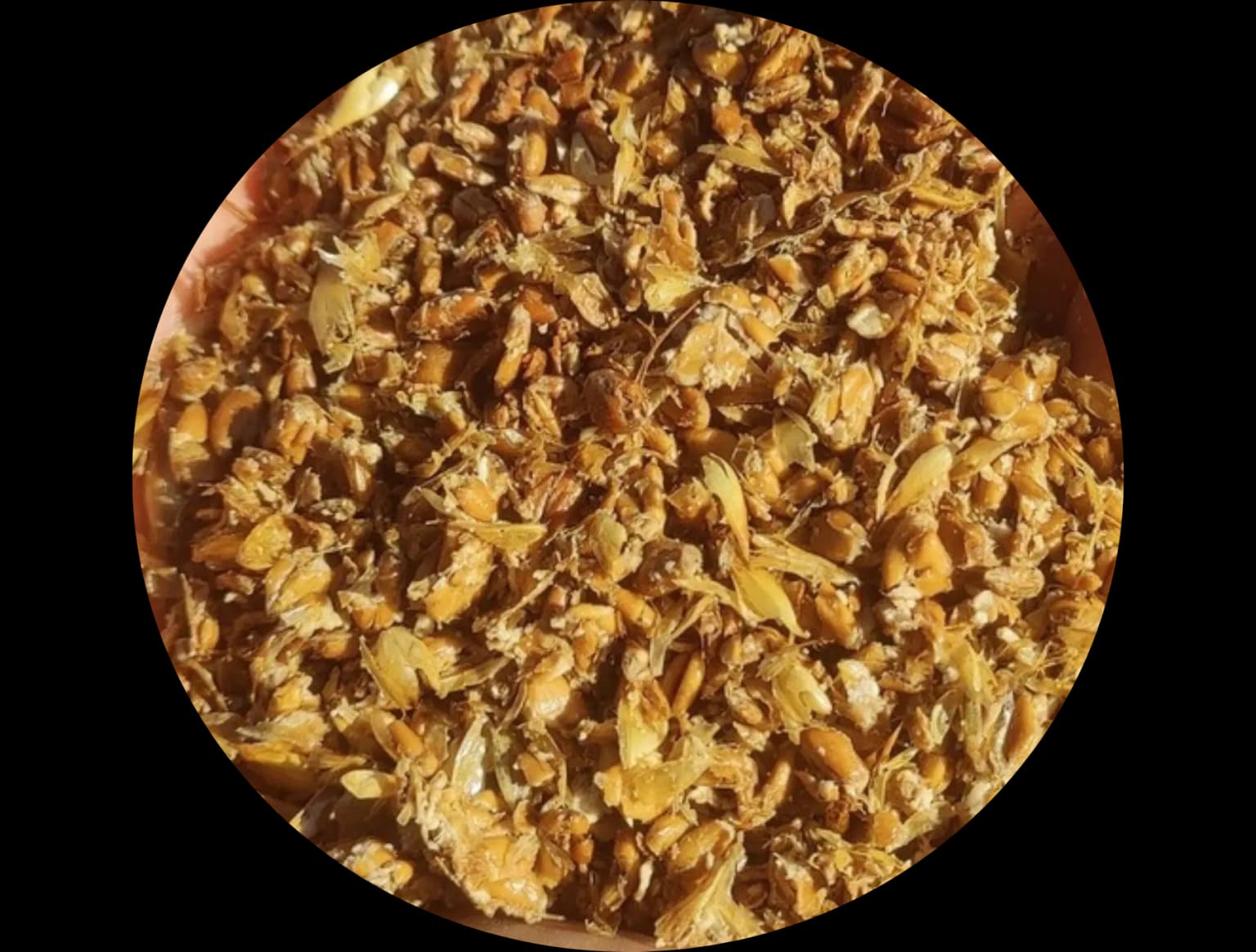 Buğday