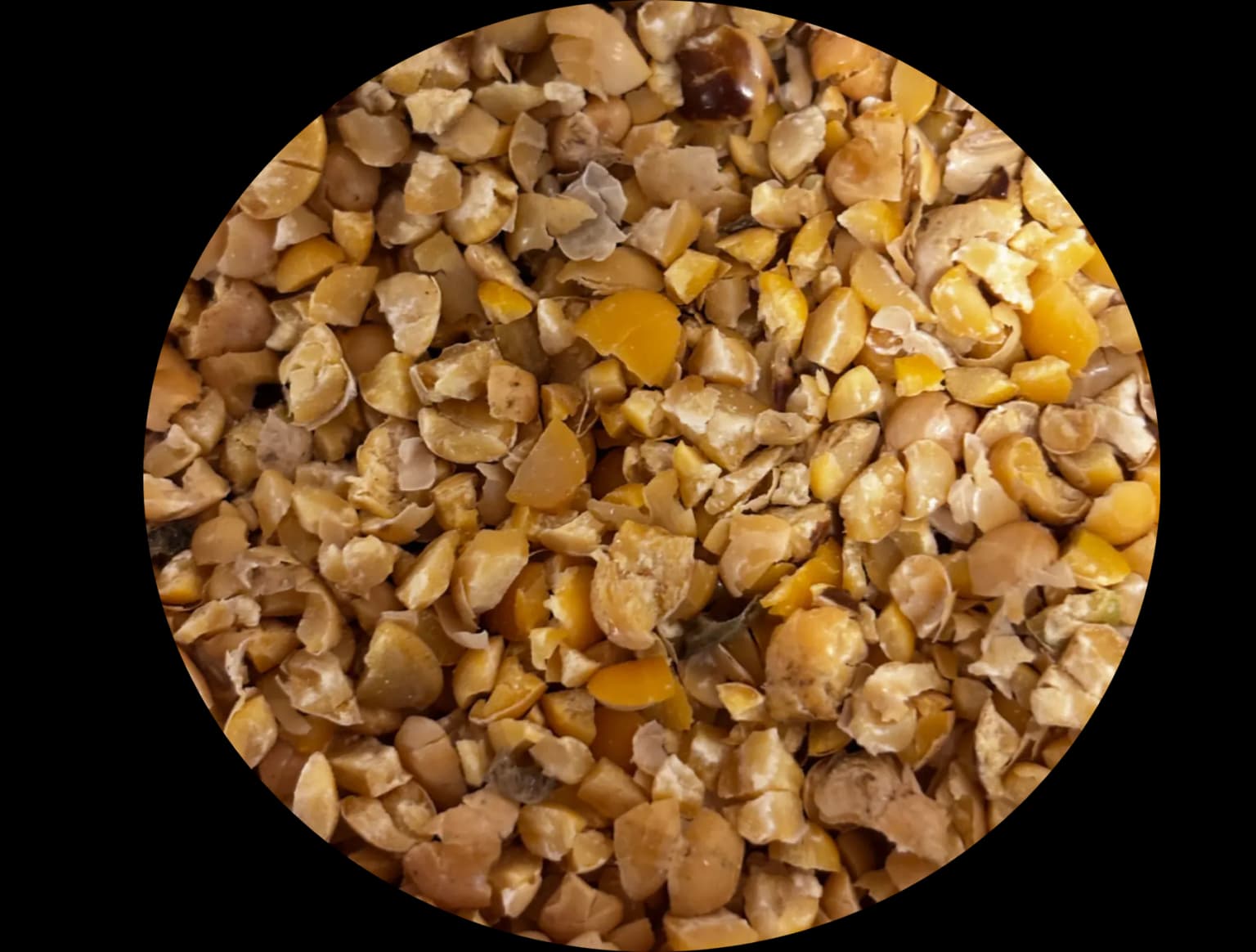 Soya