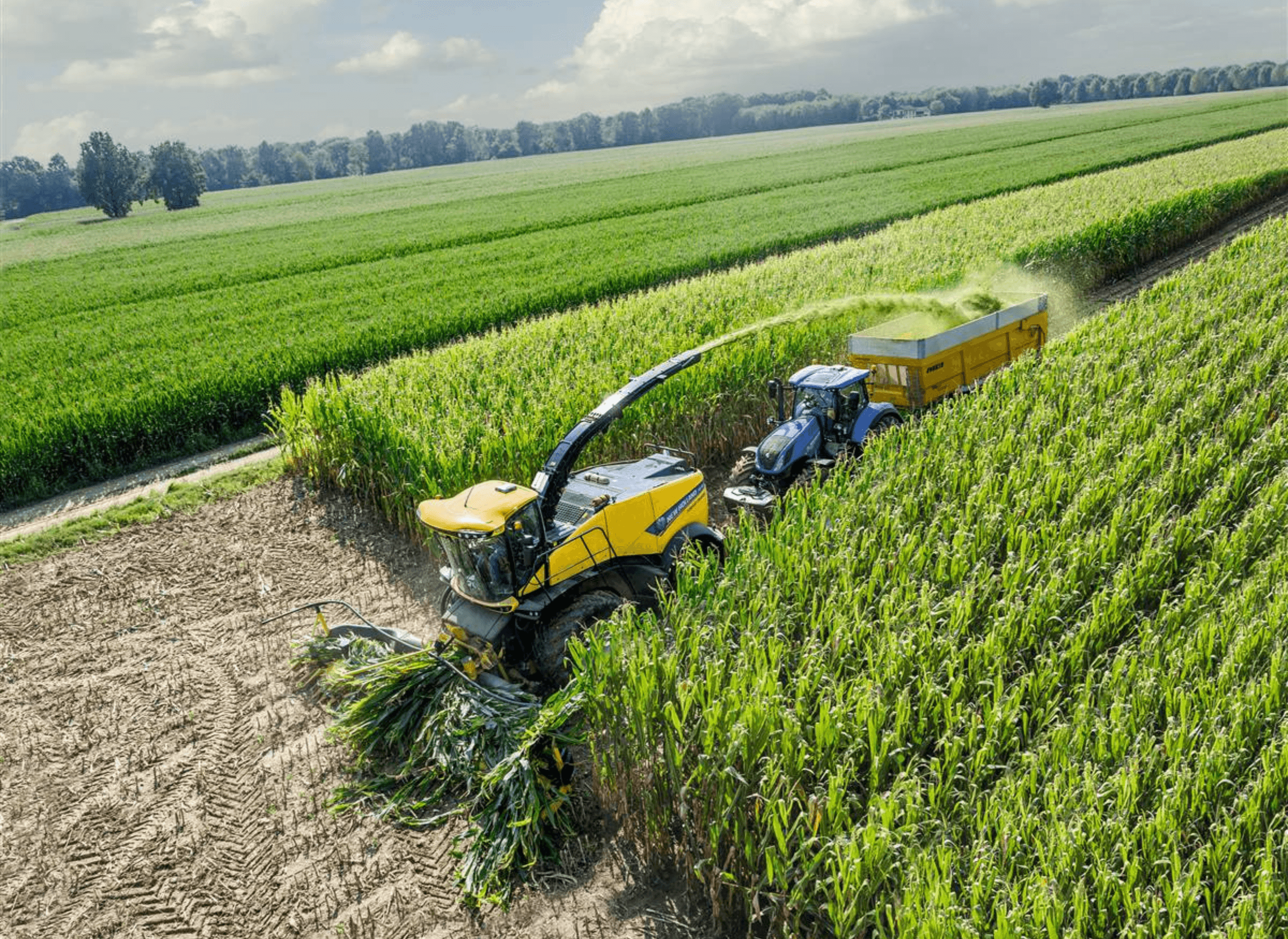 Operasyonel değer görseli